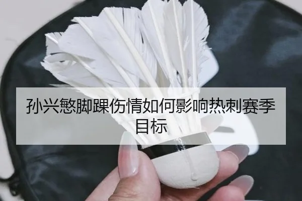 孙兴慜脚踝伤情如何影响热刺赛季目标 - Galaxy